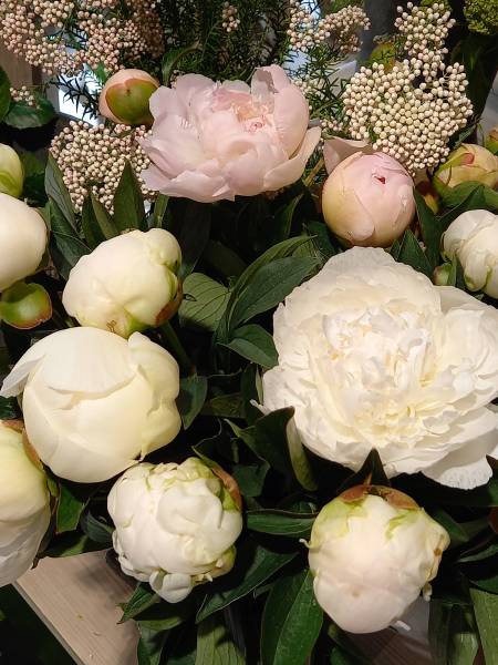 Livraison de bouquet de pivoines à Charbonnières pour la fête des mères -  La Fleuriste 